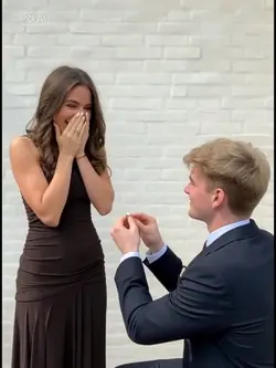 AI proposes