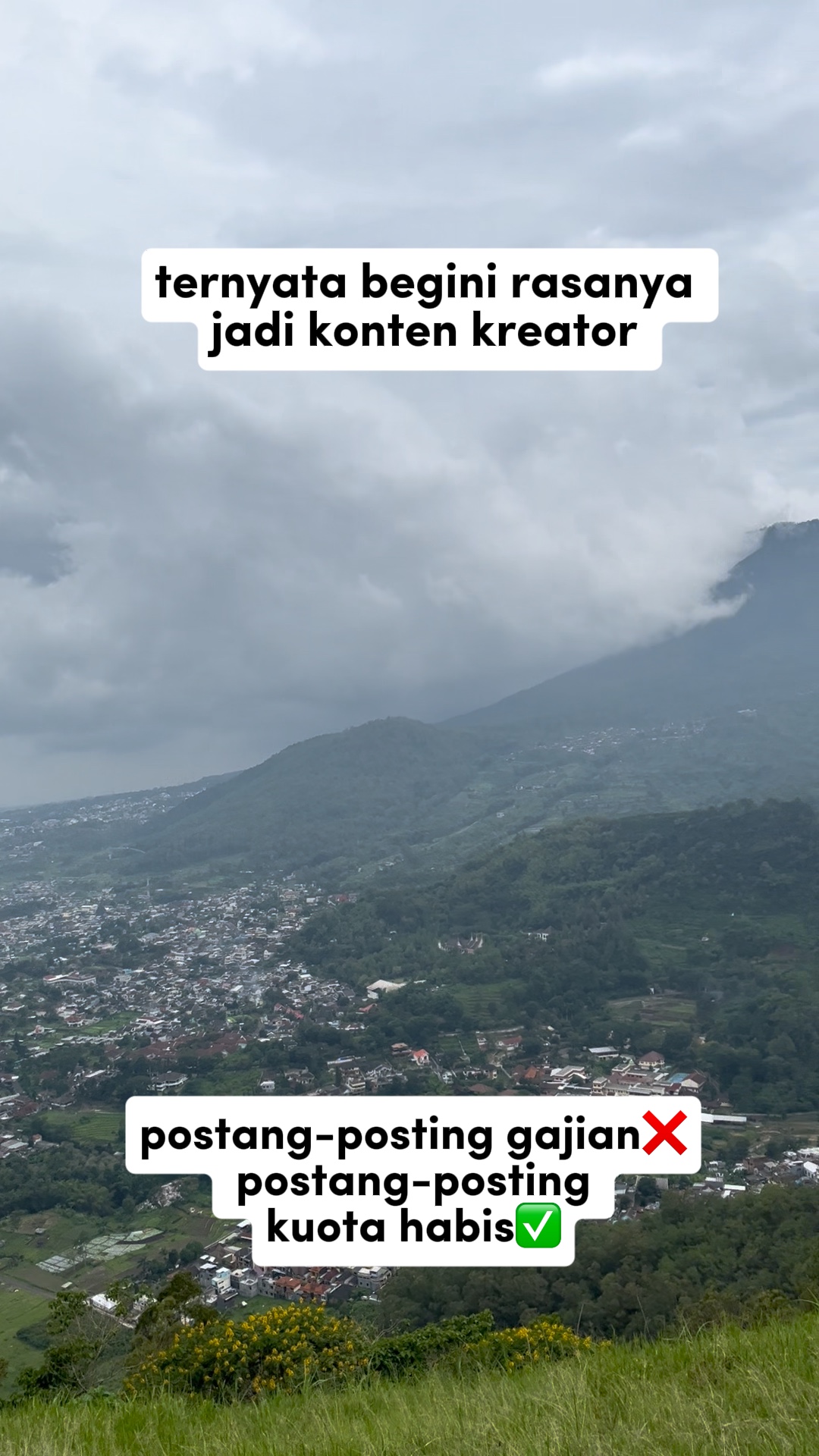 Konten fbpro