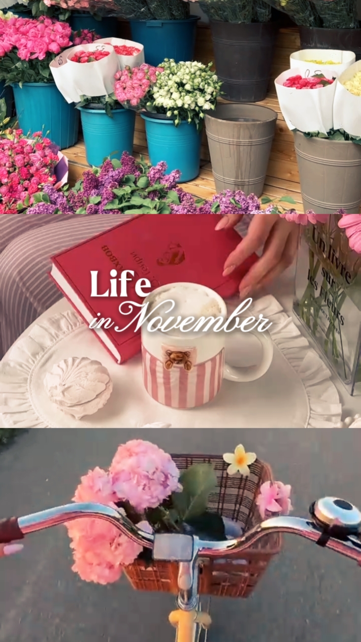 Life in November