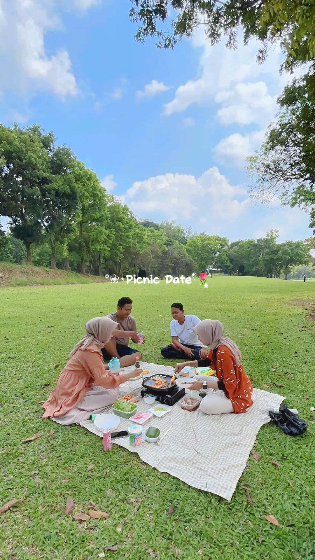 Picnic Date