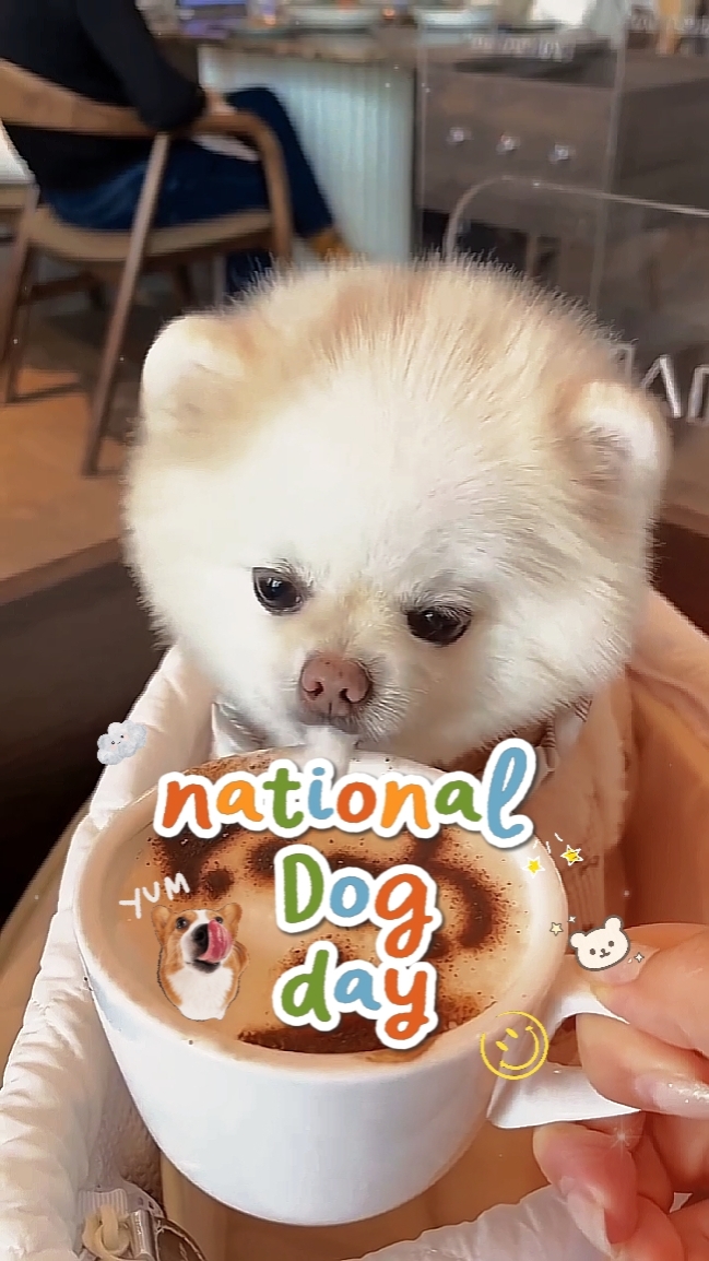 dogday 2026[HD]