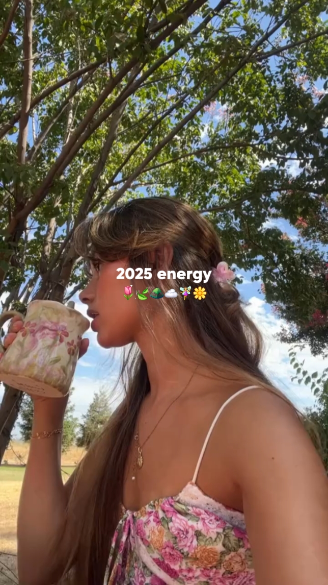 2025 energy 