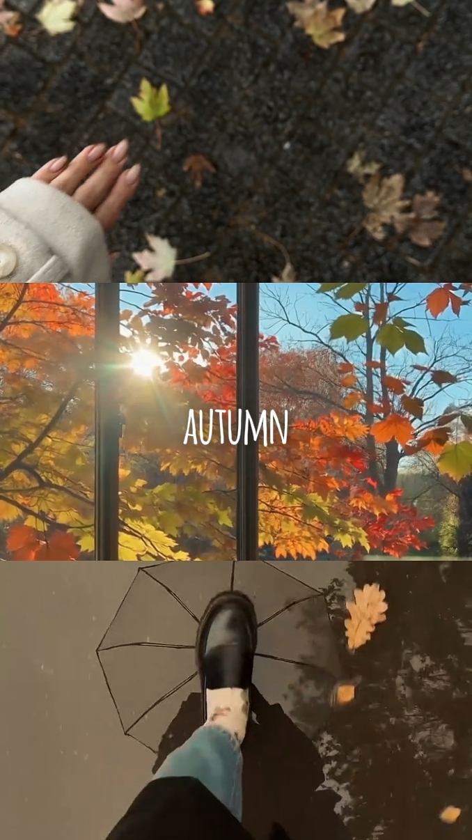 Autumn