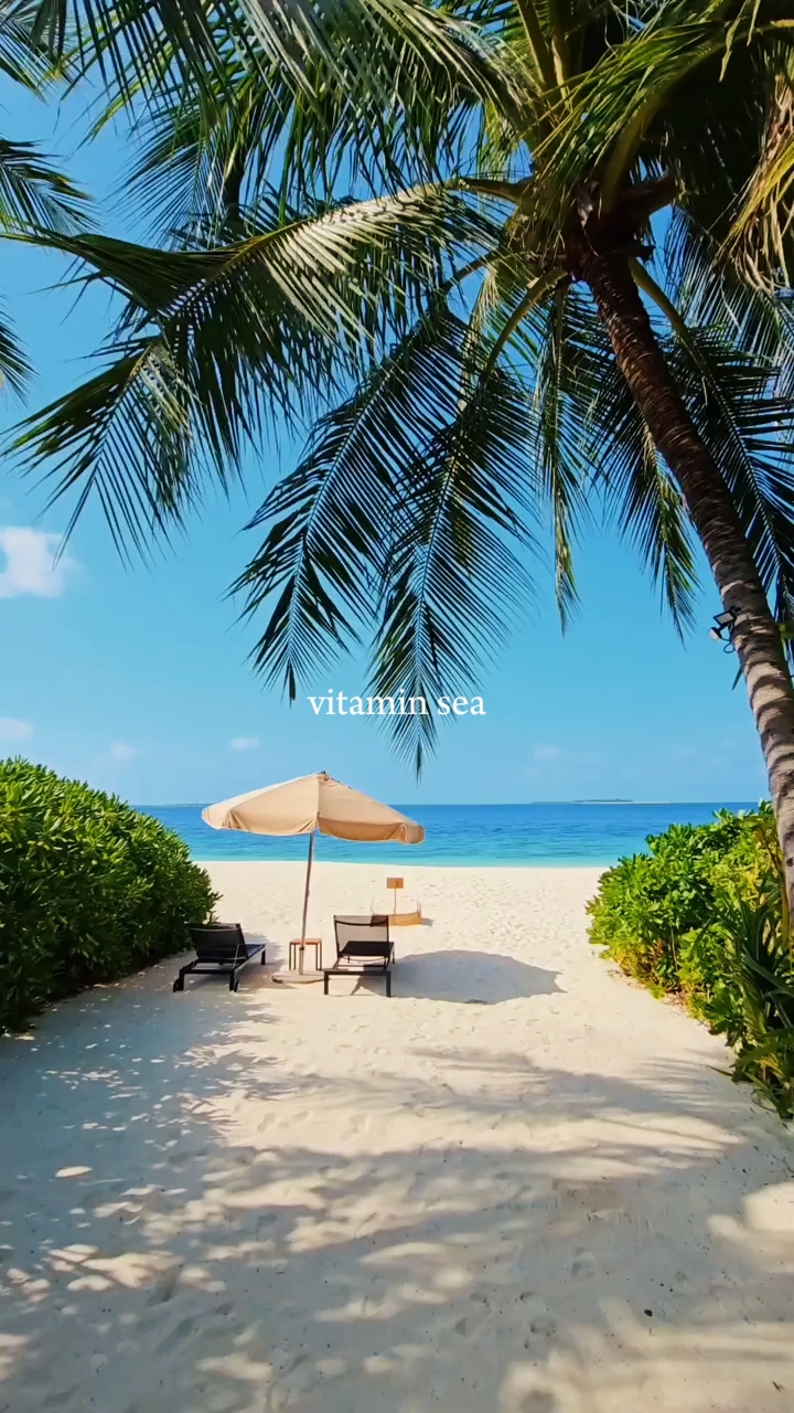 MAR DE VITAMINA