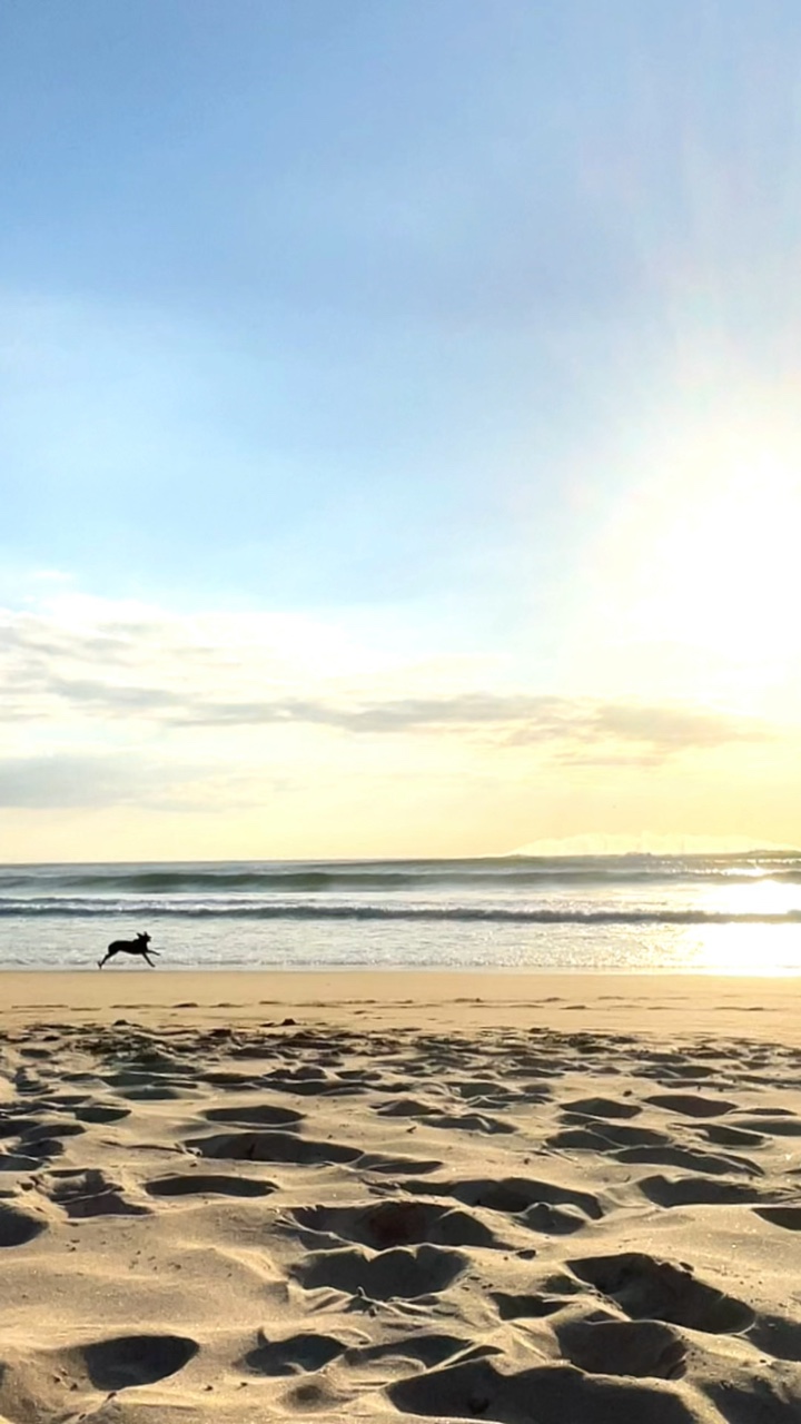 Beautiful Moment