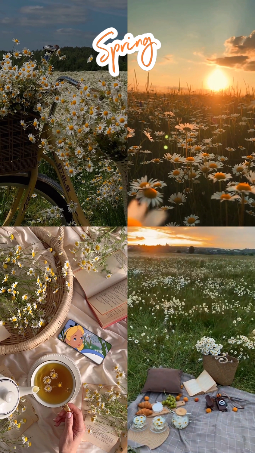 Frühlingszeit>>>