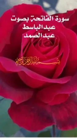 The holy Quran