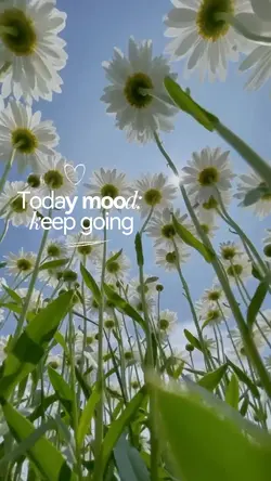 β¨Today mood β¨