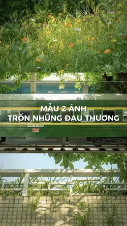 TRỐN NHỮNG ĐAU