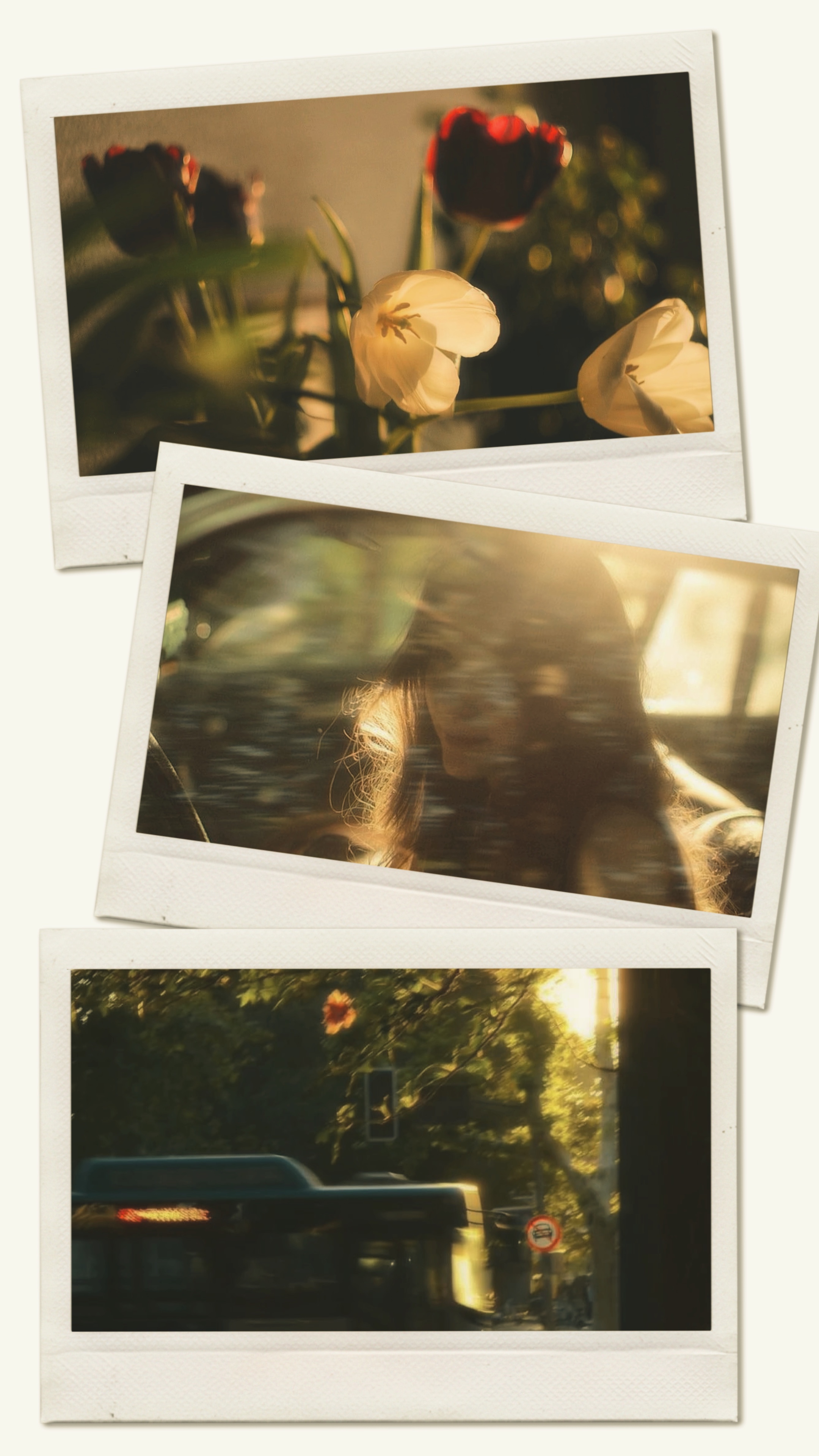 Foto de 3 quadros 