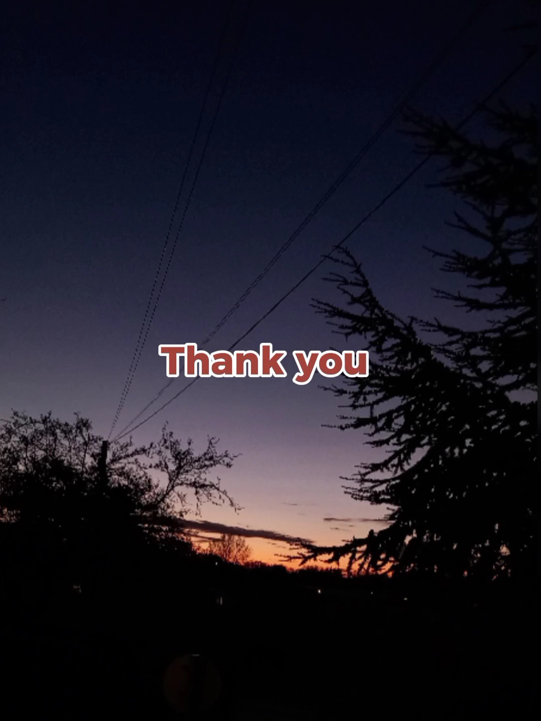 Gracias