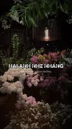 HAI ANH NHE NHANG