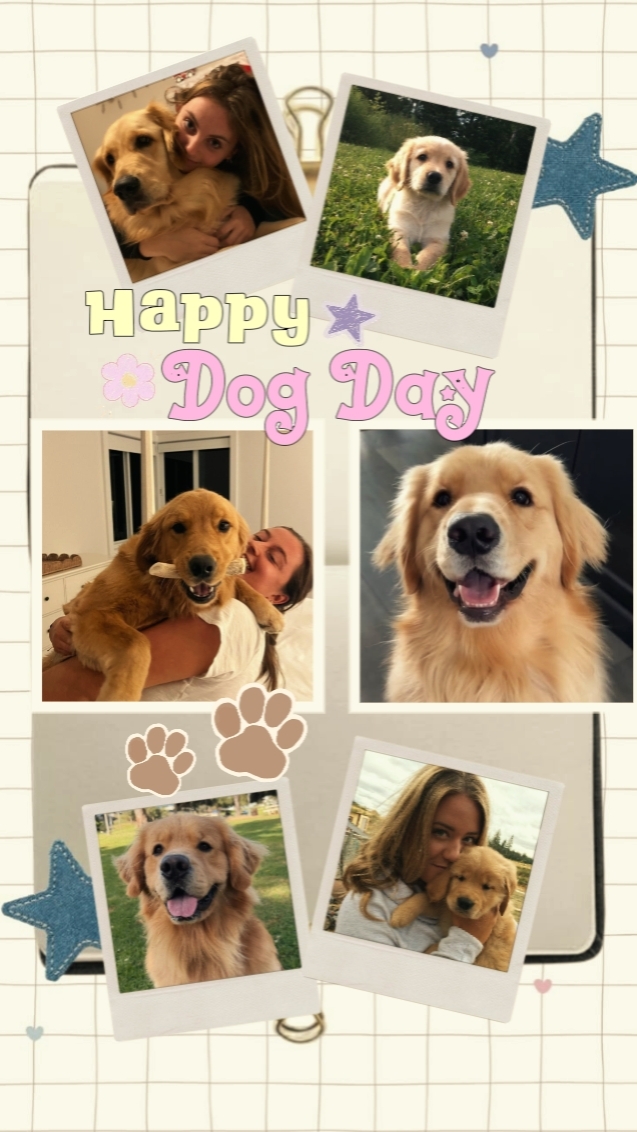 HAPPY DOG DAY 