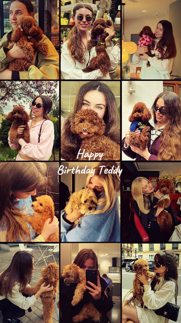 Alles Gute zum Geburtstag Teddy