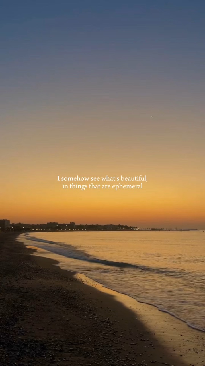 see what's beautiful