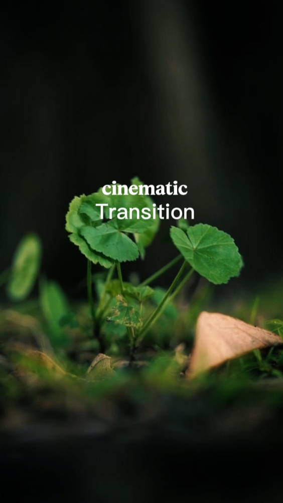 cinematic transition