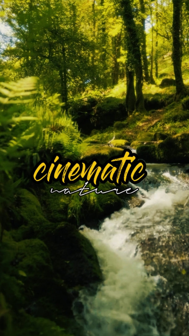 Naturaleza cinematográfica 