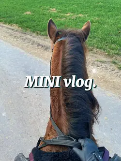 MINI STALL VLOG💖