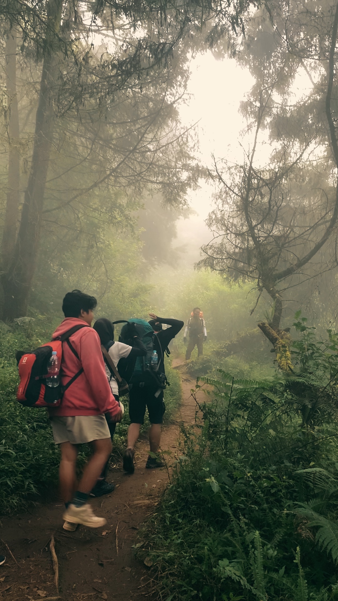 Gunung - Mini Vlog