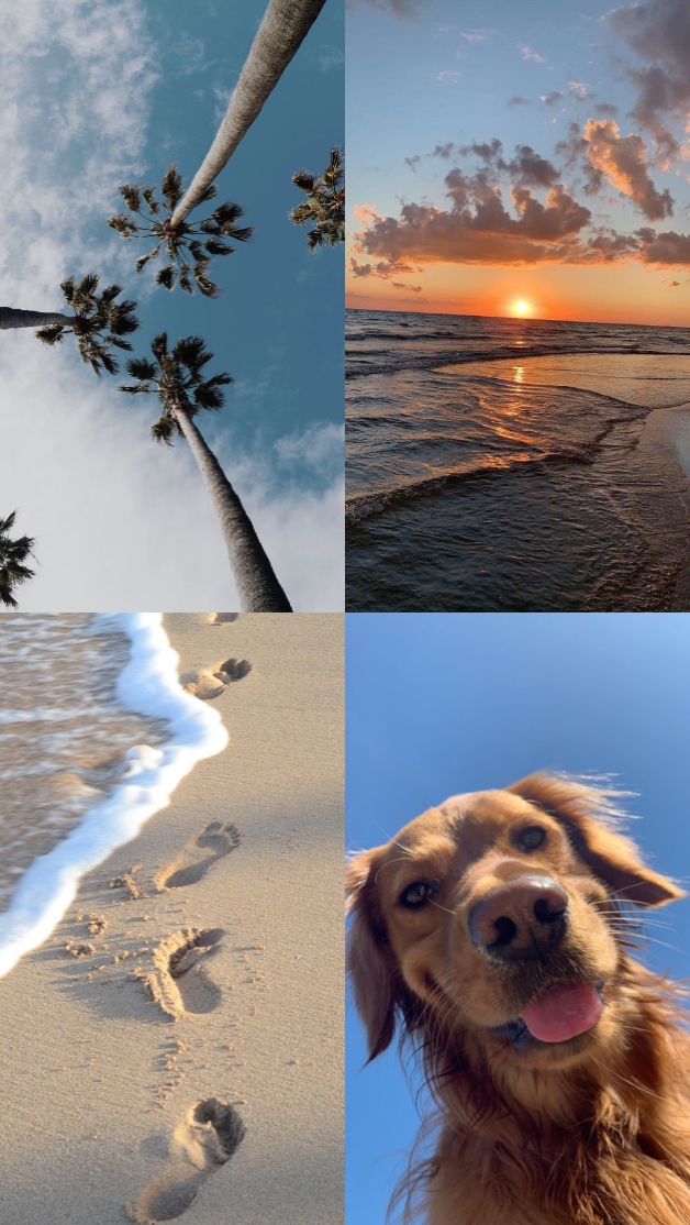 Beach vibes