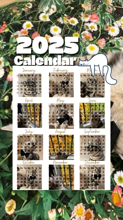 2025 Cat calendar