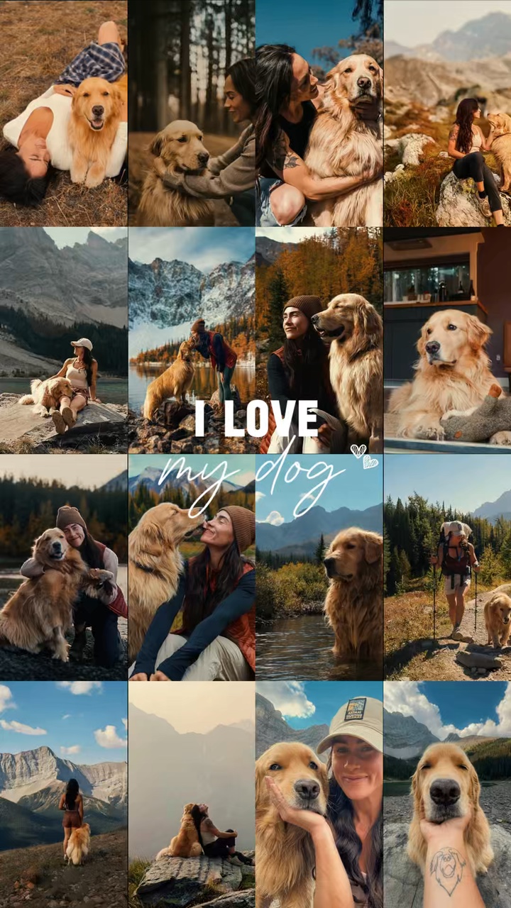 I love my dog