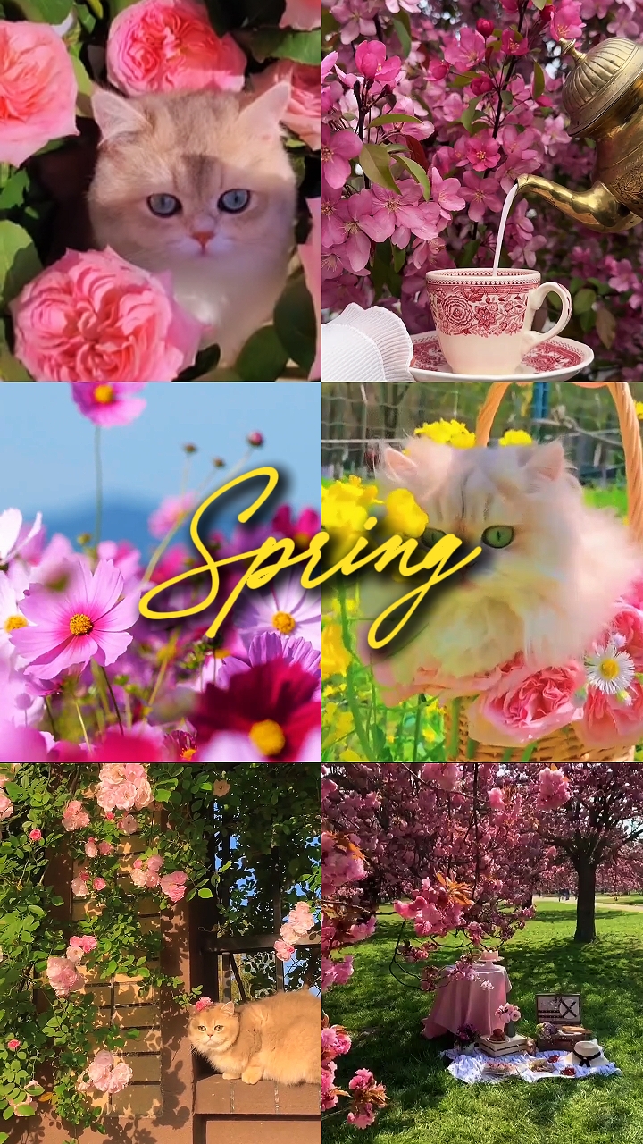 Collage de primavera