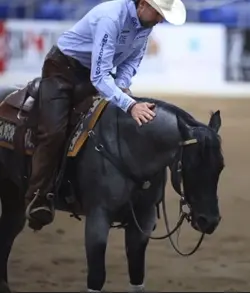 Blue roan