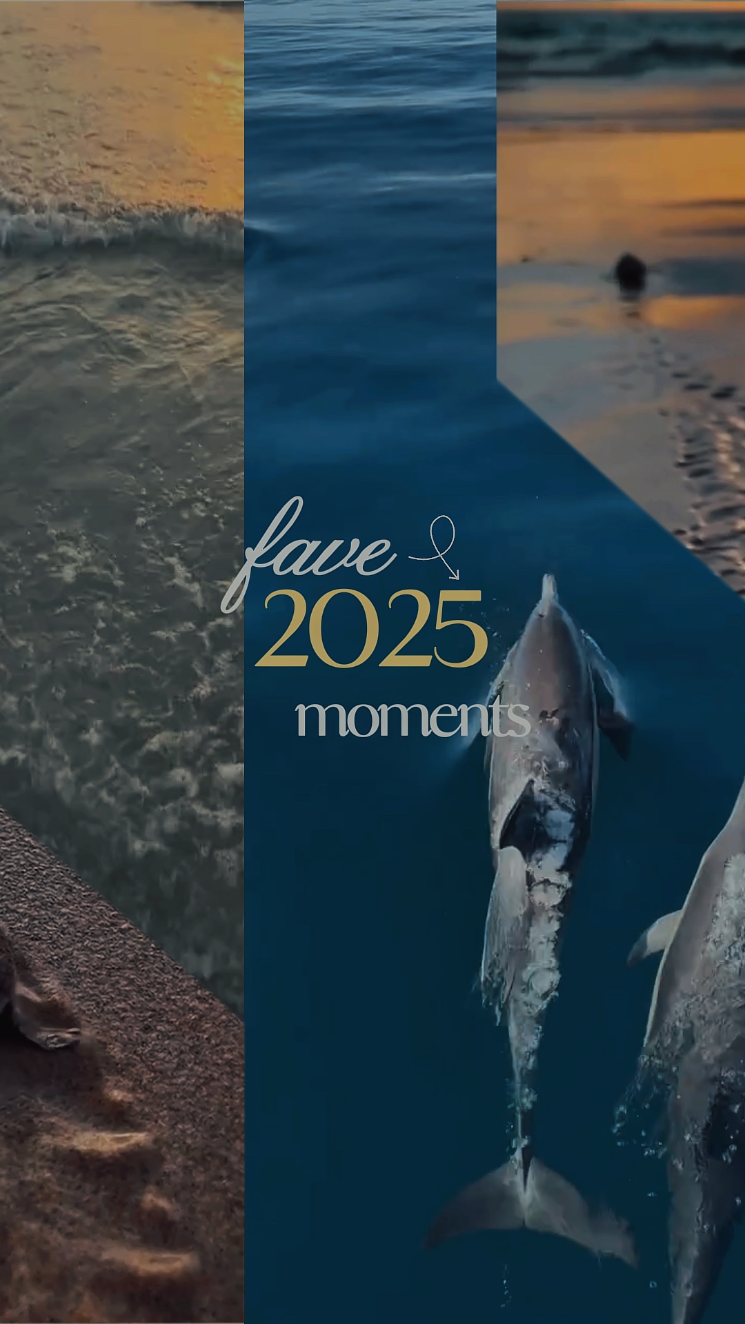 2025 momentos favoritos