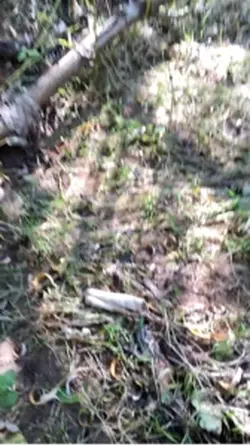 Silly little POV