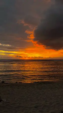 Filter senja