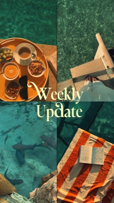 weekly update 