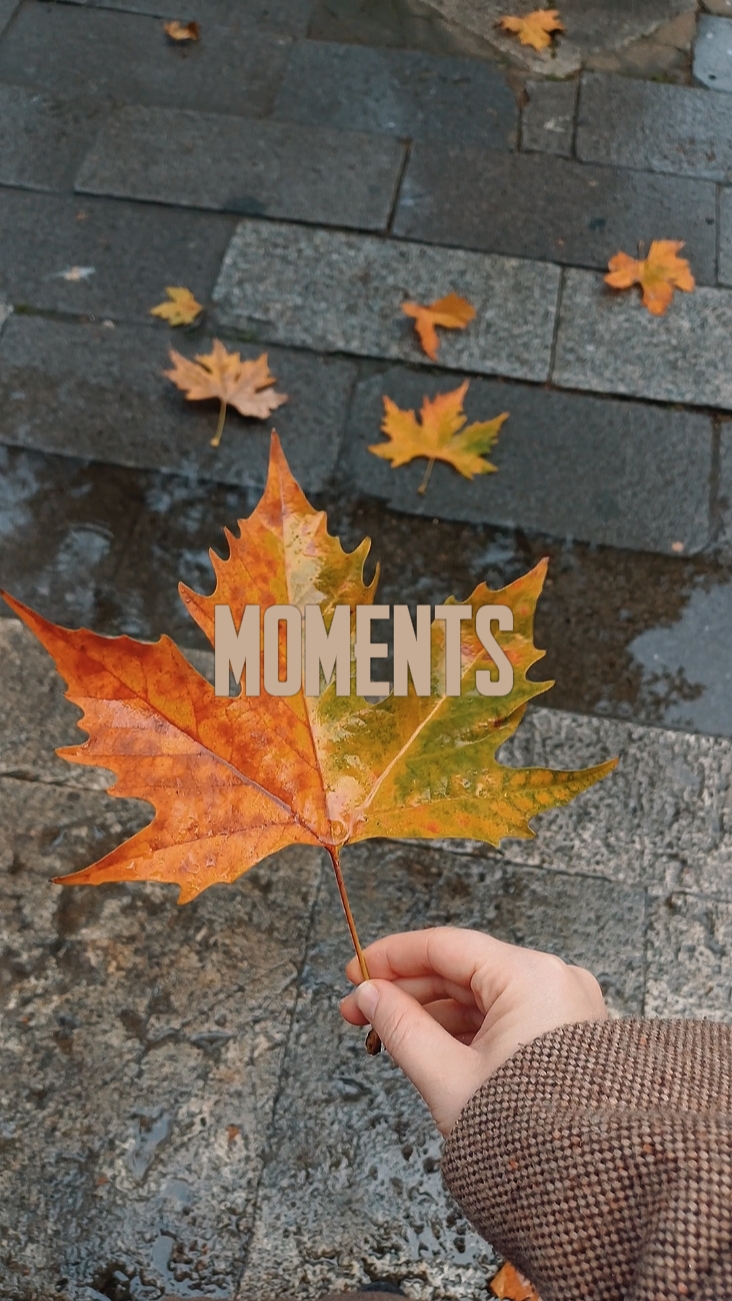 MOMENTS