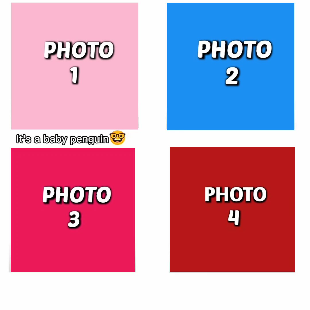 new trend template 