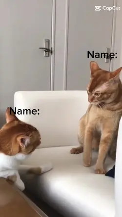 add Name
