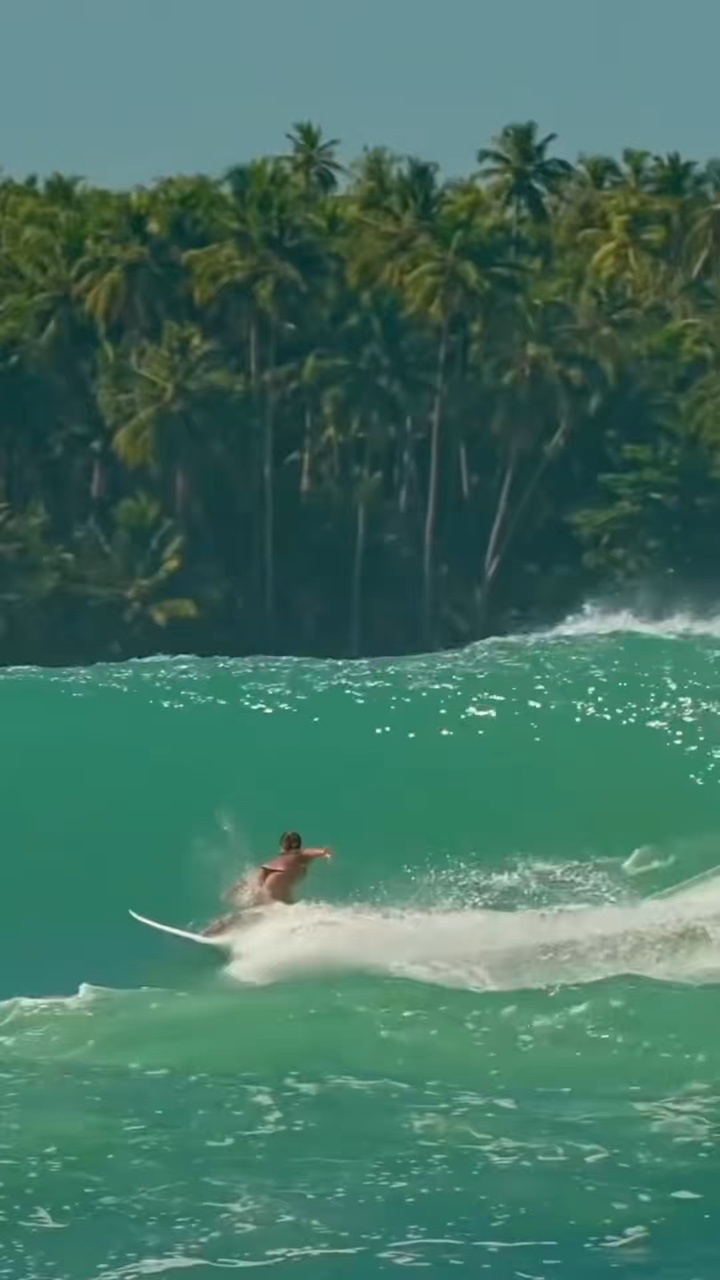 surf
