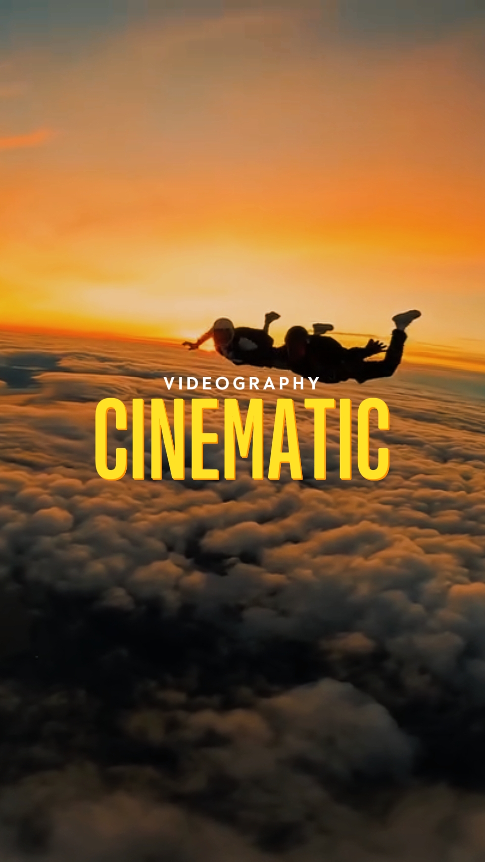 Videografía cinematográfica 