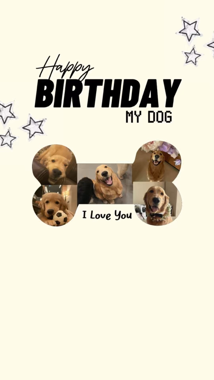Birthday my dog