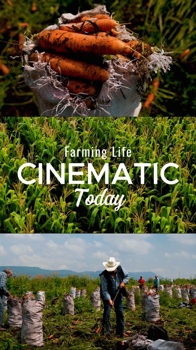 FARMING CINEMATIC