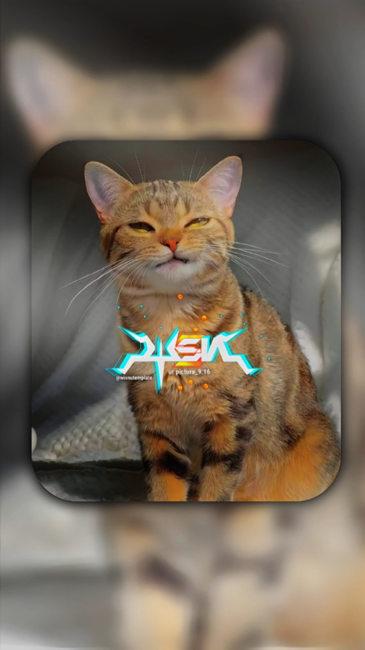 versi ayna