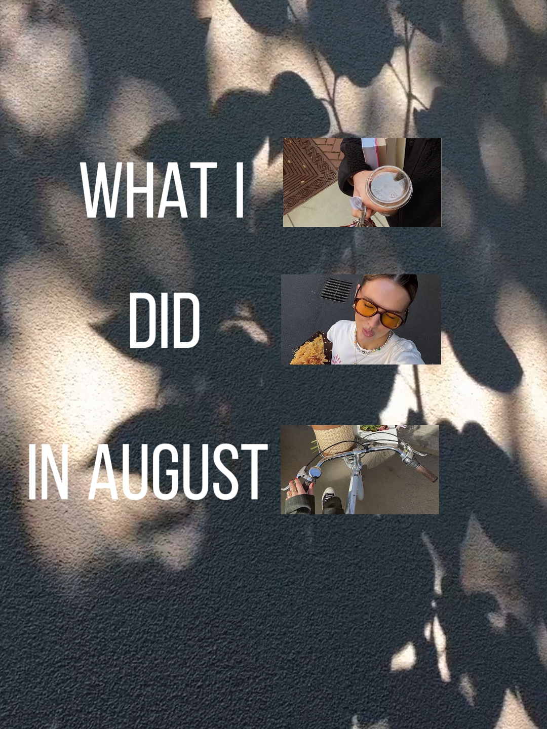 Lo que hice en agosto