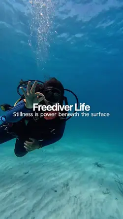 Freediver Life
