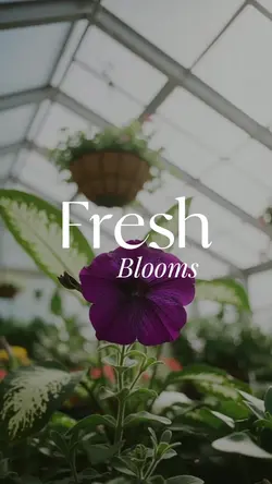 Local shop bloom promo
