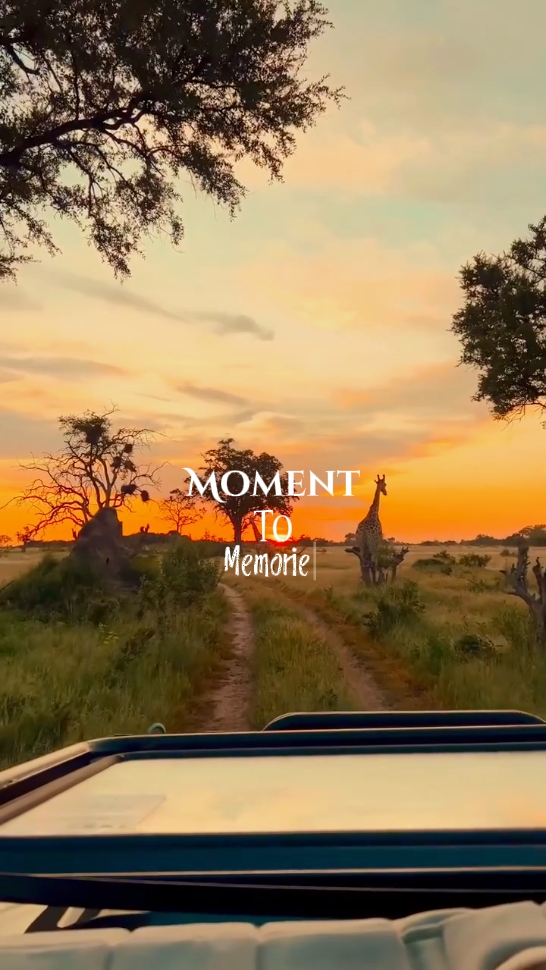 Momen To Memories