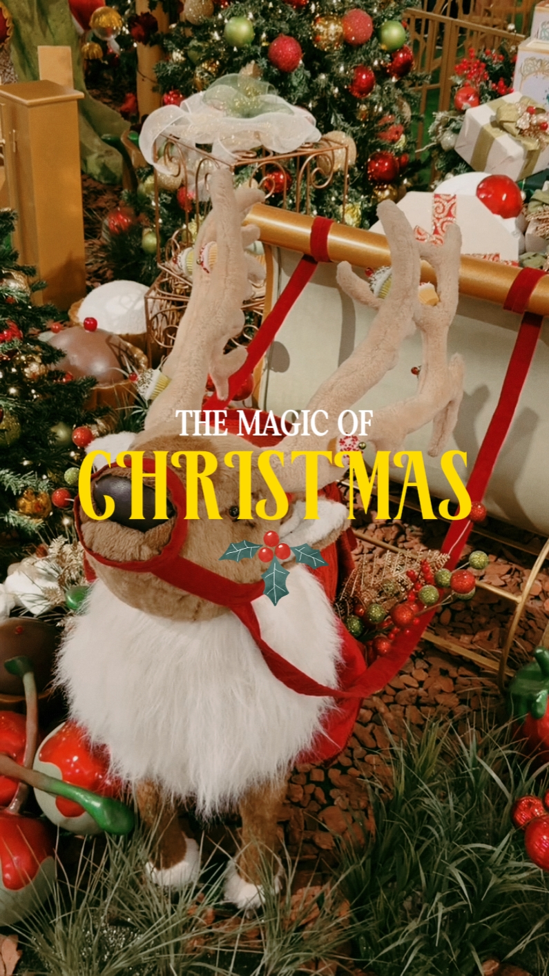 Navidad