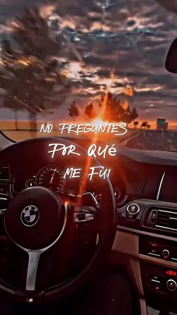 porque me fui 