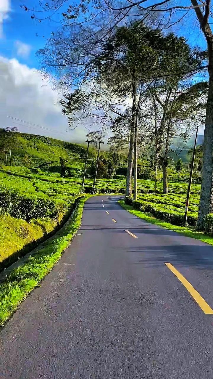 6 video travel HD 