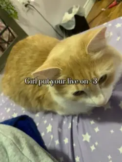 Live pics <3
