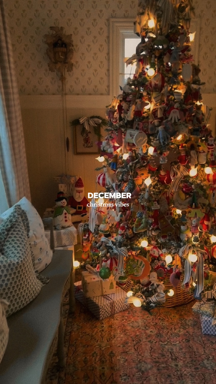 1 vidéo / photo🎄🎅🏼 
