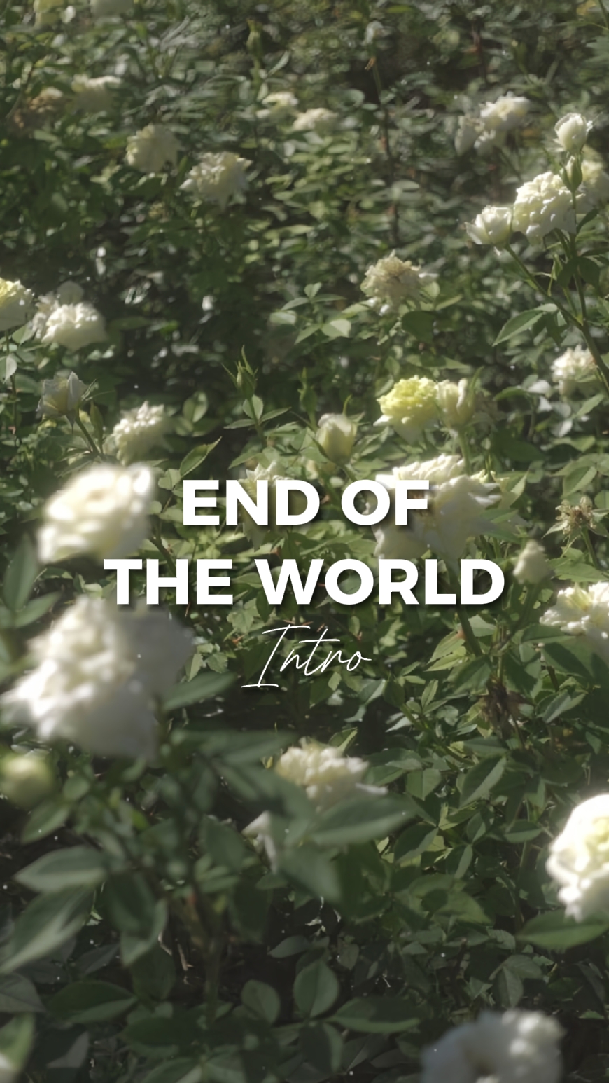 Fin du monde